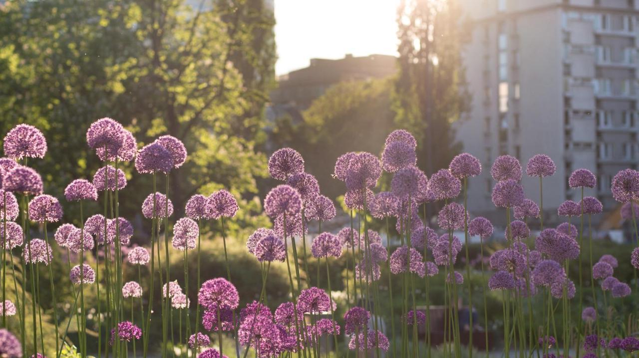 Sunny Apartment Варшава Екстериор снимка